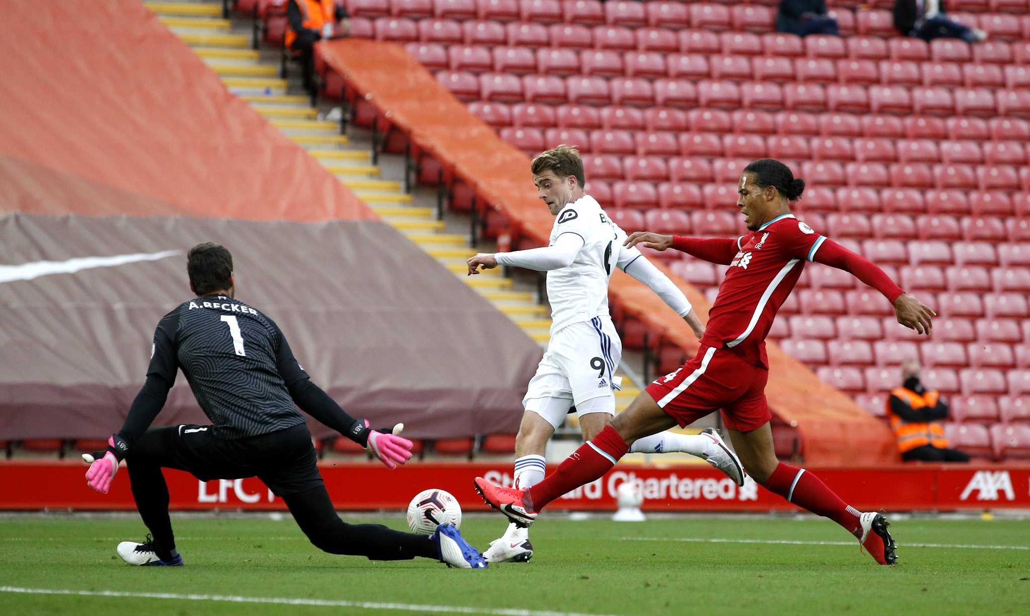 要更多的根 要更多的根