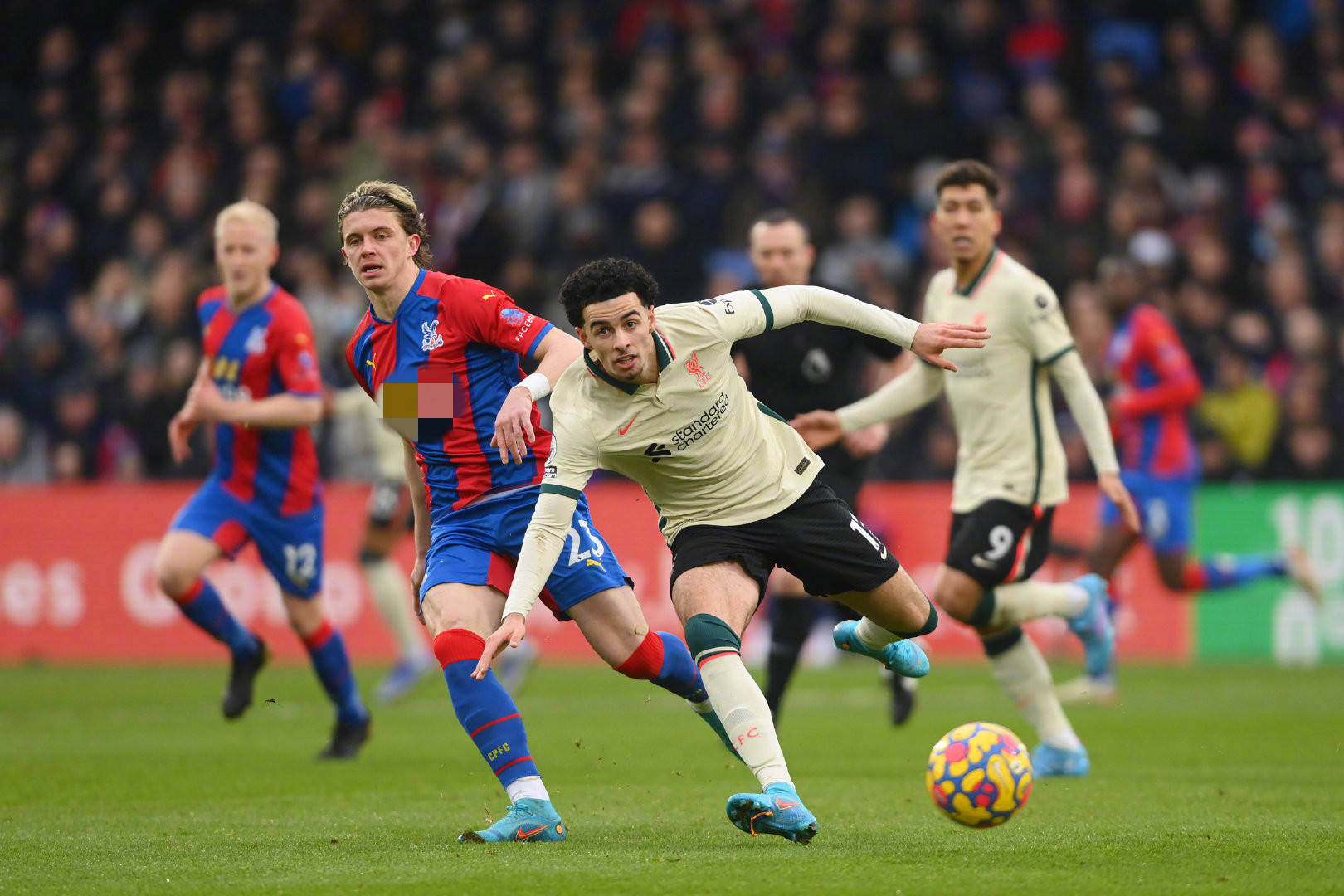 而非单一周 而非单一周